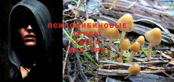 гашиш Бронницы