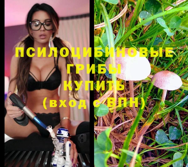 скорость Бородино