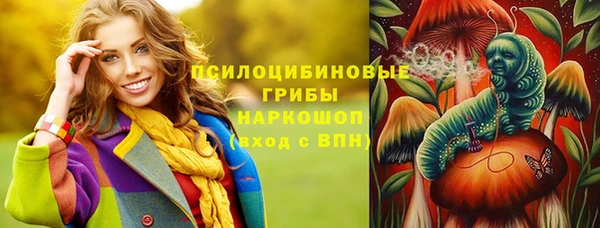 скорость Бородино